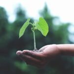 🌱 Sustainable & Ethical Marketing: How Responsible Brands Win Hearts — and Market Share